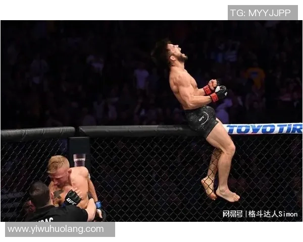 埃德加与迪拉肖巅峰对决UFC赛场再掀风云之战