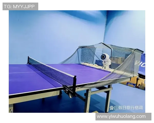 陈敏独家分享乒乓球技巧与心得助你提升球技的秘密宝典MBA