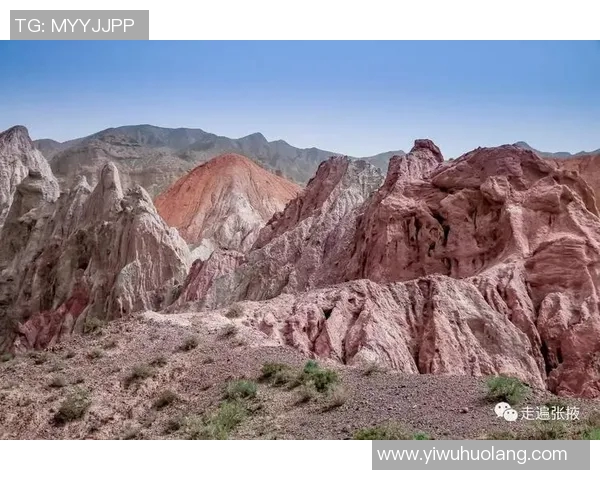 北京极限运动队的节奏变化与挑战分析探讨MBA